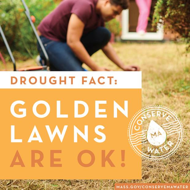 Download Golden Lawns are OK graphic