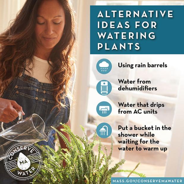 Download Alternative Ideas for Watering Plants graphic