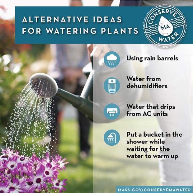 Download Alternative Ideas for Watering Plants graphic 2