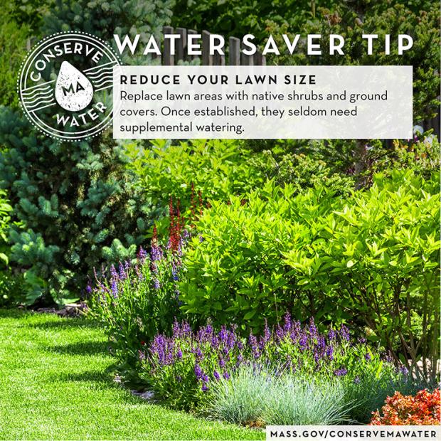 Download Reduce your Lawn Size graphic