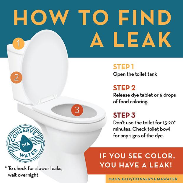 Download How to Find a Leak