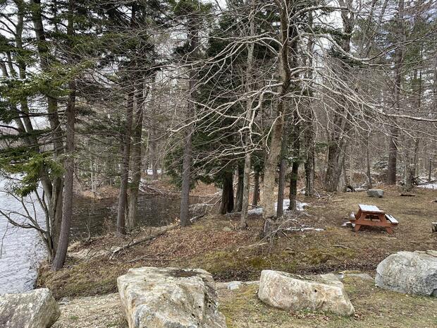 wooded shoreline with picnic bench and spots to cast