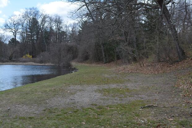 shore access