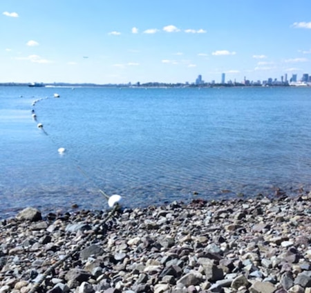 View of Boston from the shores of Spectacle Island.
