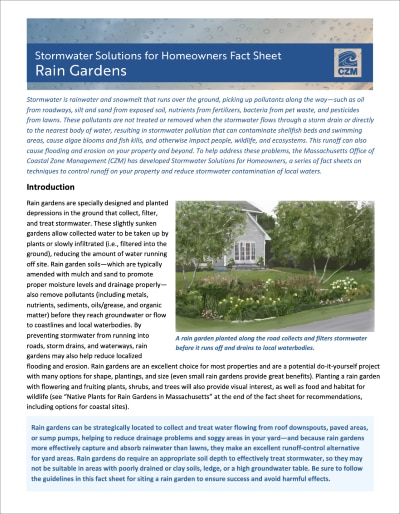 rain garden fact sheet cover shot