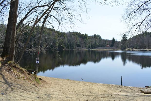 Puffers Pond Shore Access