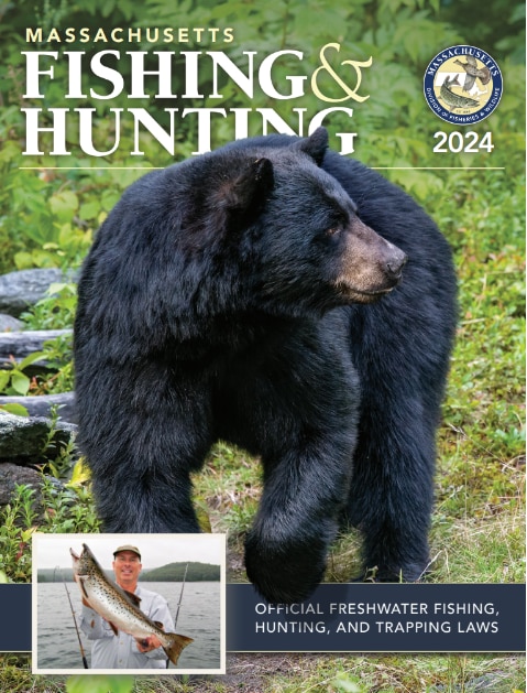 2024 guide to fishing and hunting in massachusetts