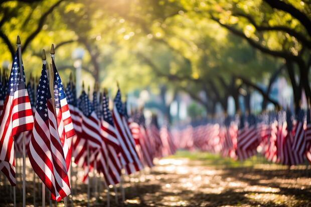 A row of American Flags