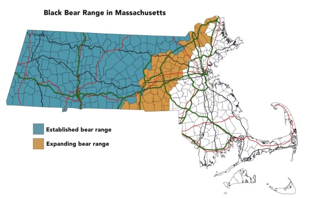 Bear range map in Massachusetts