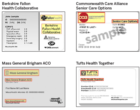Image of health plan cards