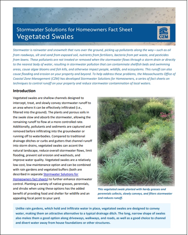 vegetated swales fact sheet cover