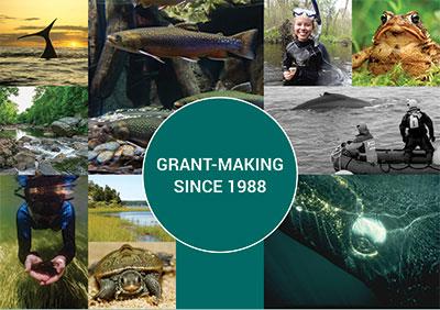 Grant making since 1988