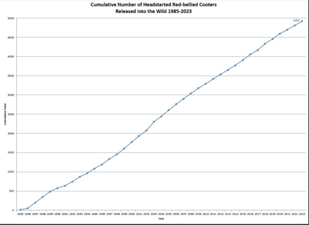 Headstart Release Data