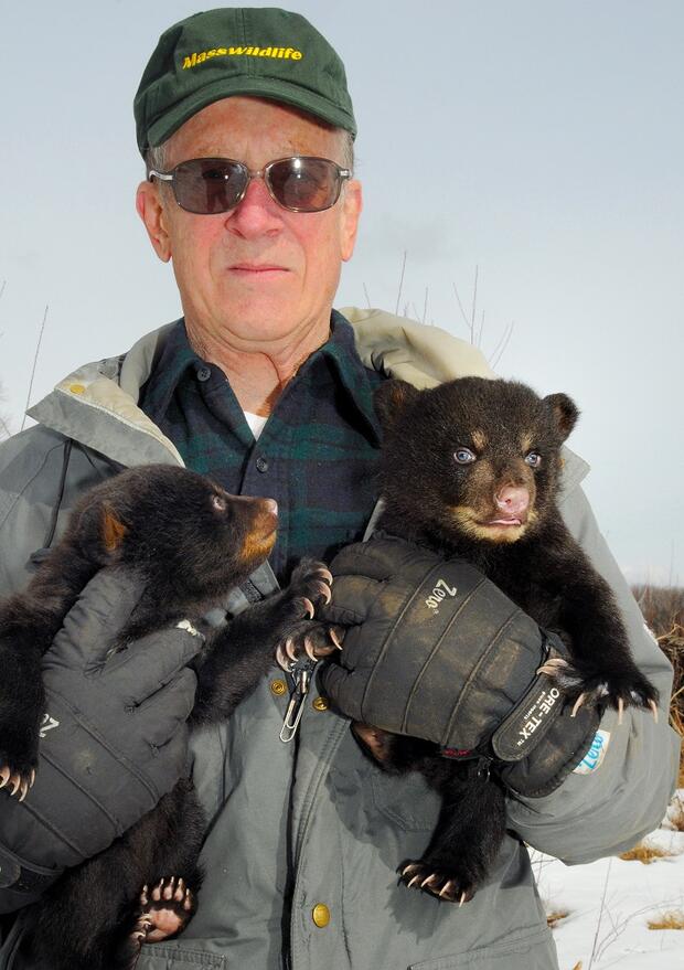 jim cardoza with bear cubs