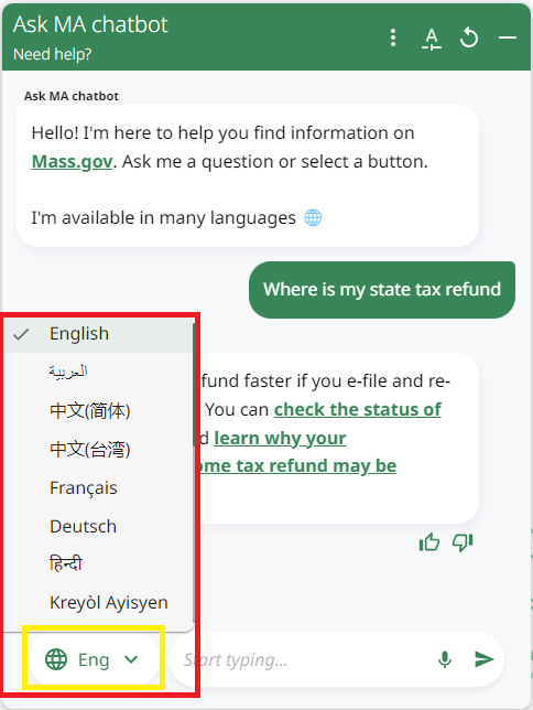 screenshot of some chatbot multilingual language features