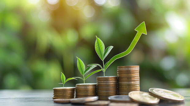 Coins with plants sprouting