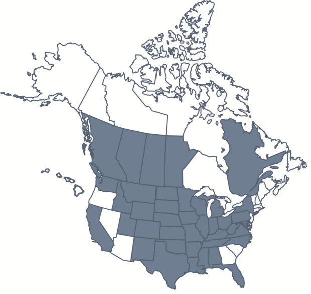 CWD Map 2024