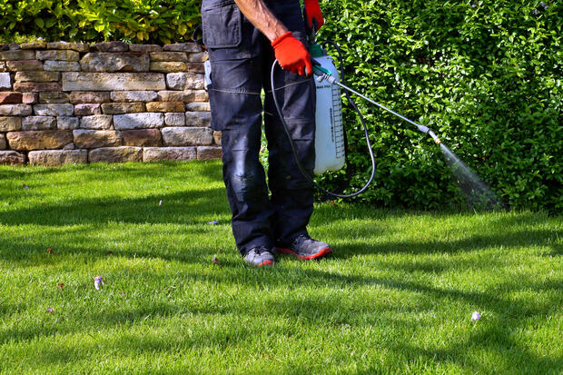 Treating lawn with hand sprayer