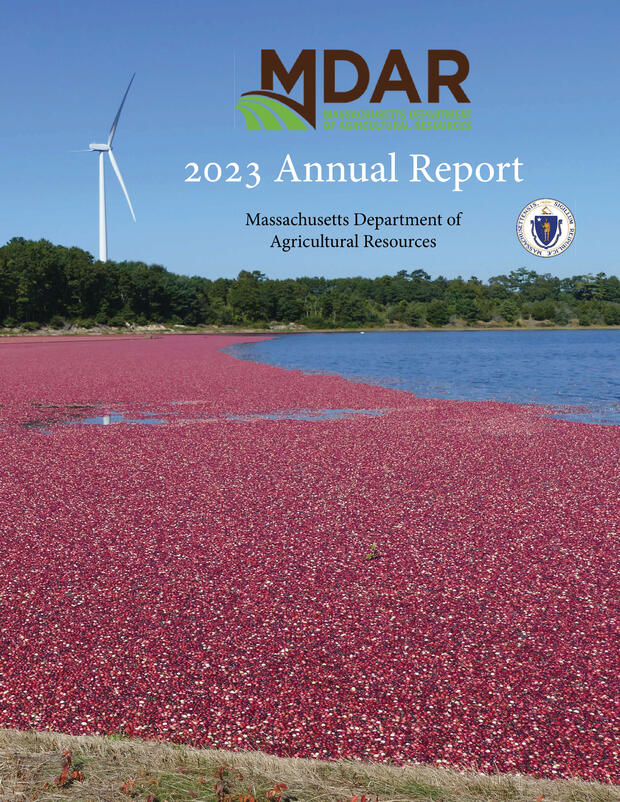 annual report cover