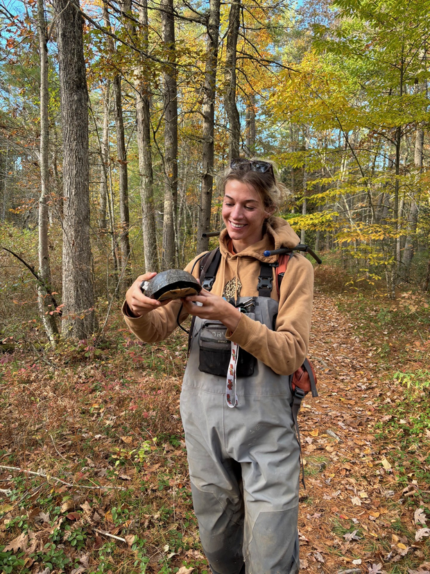 Turtle biologist in the field