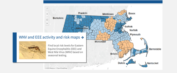 A screenshot of the risk maps. On the next page, use the link for WNV and EEE activity and risk maps to access the map.