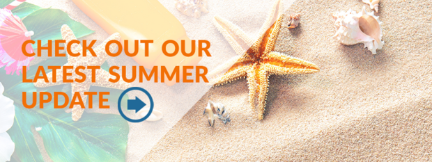 Summer update from the Division of Local Services