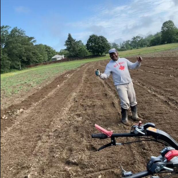 Barnabas in his fields, holding up his hands with glee.