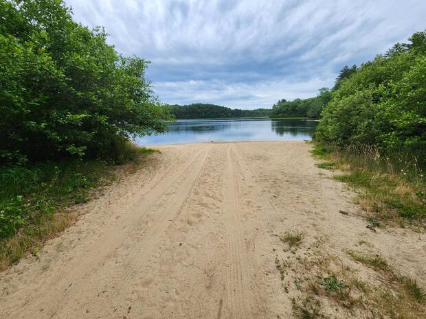 Higgins pond shore