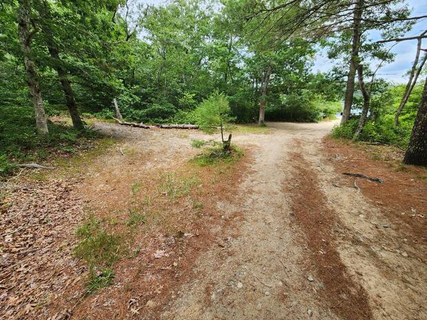 Higgins Pond trail