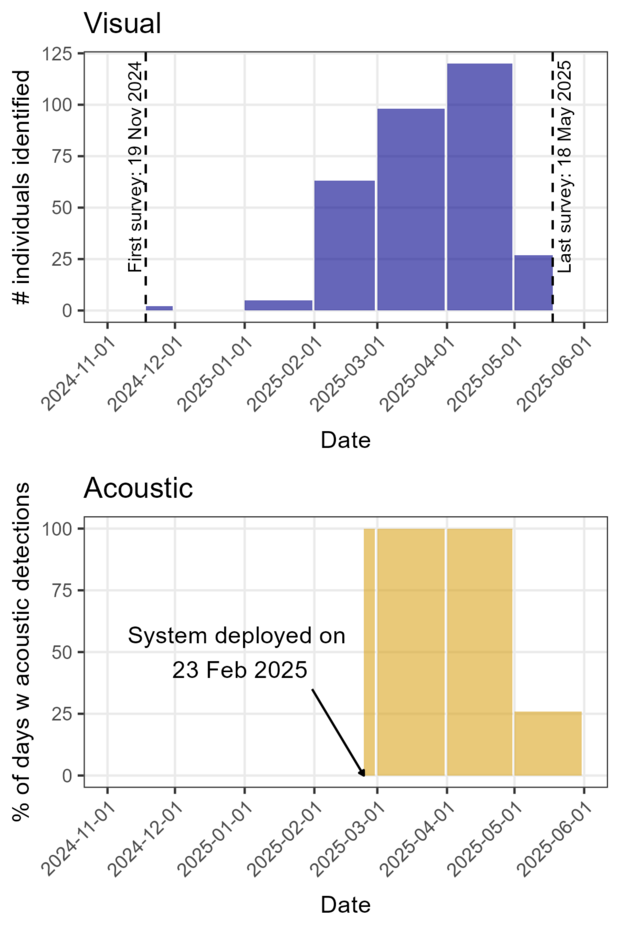 Right whale table showing right whale detections. 