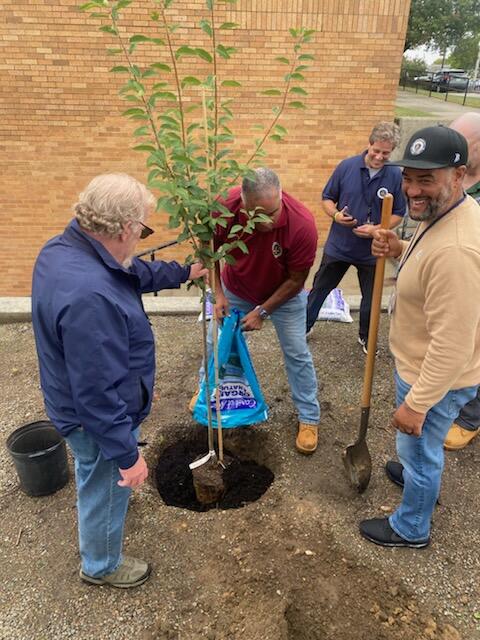 Four men planting a tree