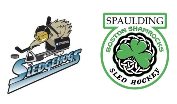 Spaulding's Sledgehogs Ice Hockey logo and  Boston Shamrocks Sled Hockey logo