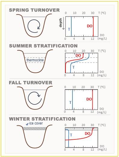 Seasonal lake temperature and dissolved oxygen patterns.