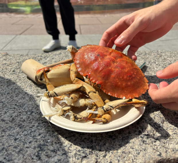 Bright orange, cooked crab sits on a plate on a rock seat next to a wooden hammer. 
