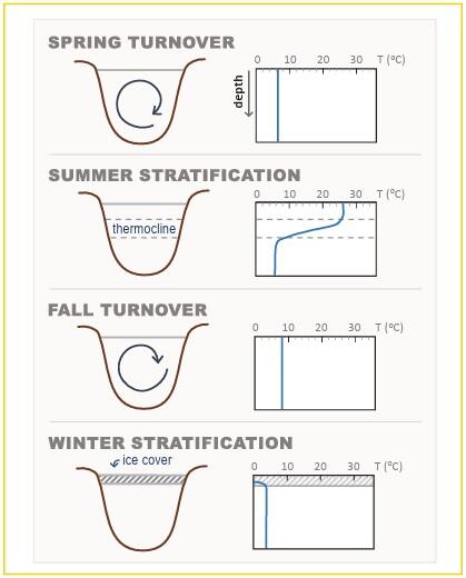 Seasonal lake temperature stratification and turnover.
