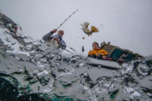 Fishermen bring fish onboard vessel. 
