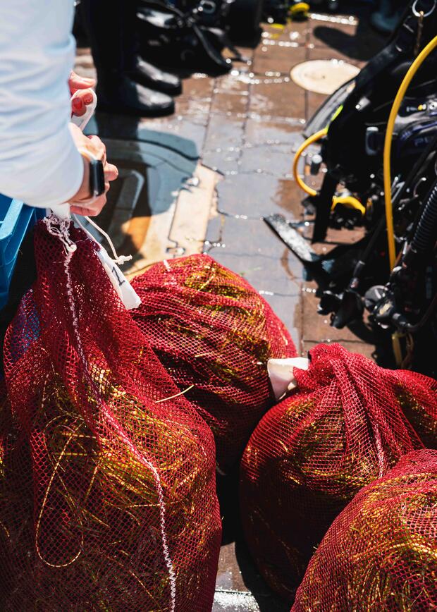 Large red mesh bags filled with eelgrass sit on a boat deck. 