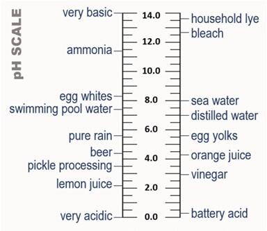 pH scale from 0 to 14 showing common substances from very acidic (battery acid) to very basic (household lye).