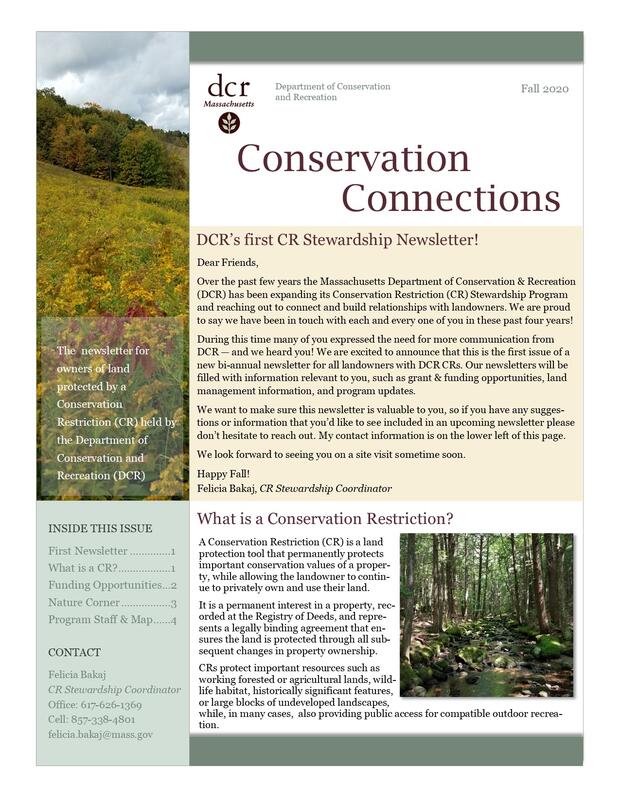 cover newsletter