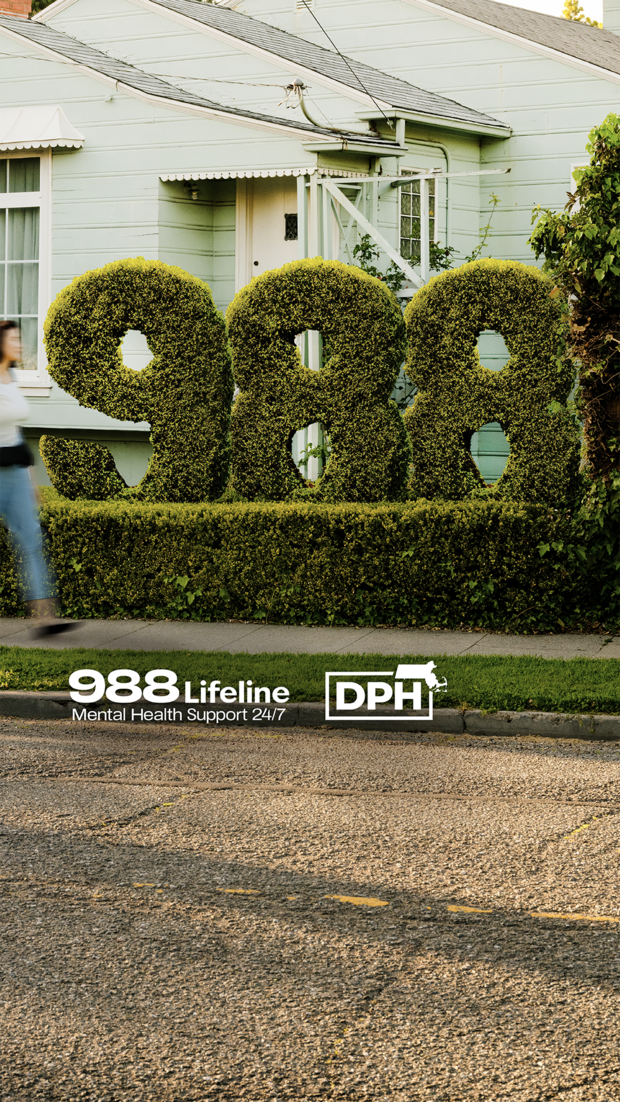 988 social share graphic in a topiary design