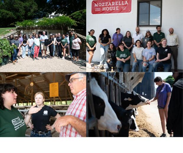 photos of Ag Youth Council members