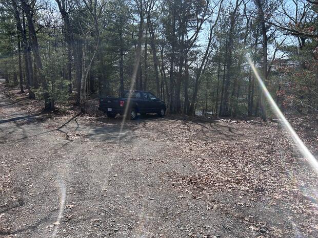 parking in woods for shoreline access into Mossy Pond