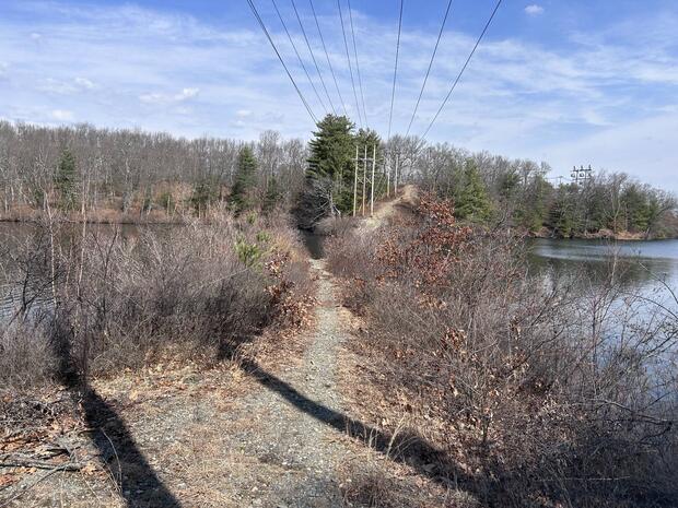 shore fishing spot under power lines into Mossy Pond