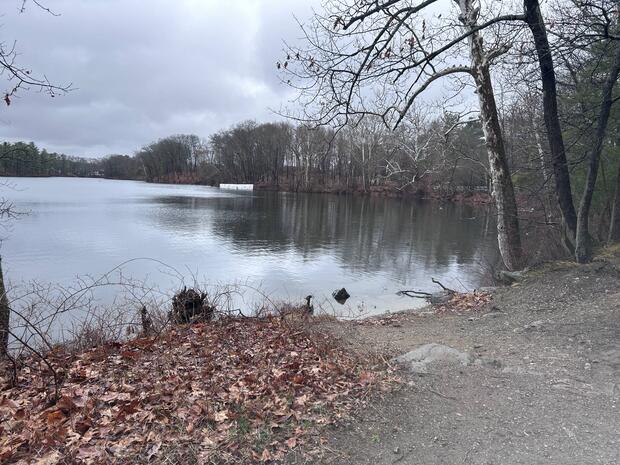 shoreline of dug pond with unimproved dirt and gravel cartop launch