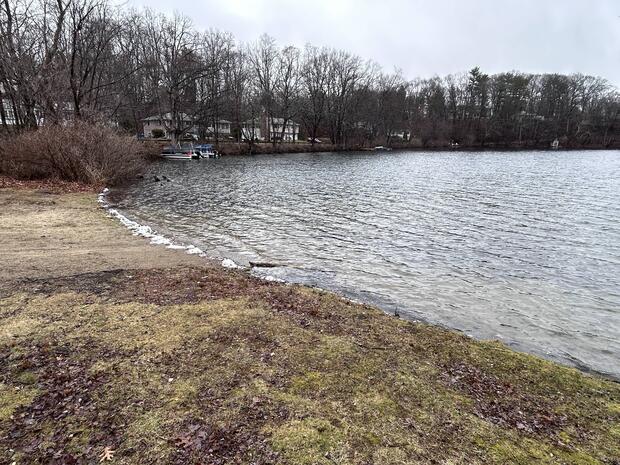 grassy area near beach that affords limited shore fishing opportunities