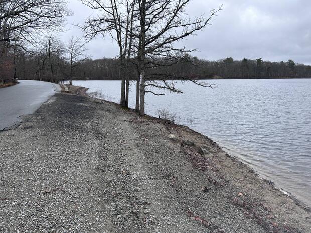 shoreline of heard pond with good fishing access