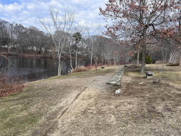 grassy shores with intermixed small trees leading to the water of Tripp Pond