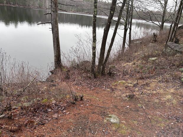 Narrow dirt path with roots leading to a open shore area where a cartop boat can be launched