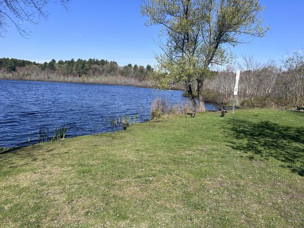 grassy level shores of Mahoney Park with picnic table