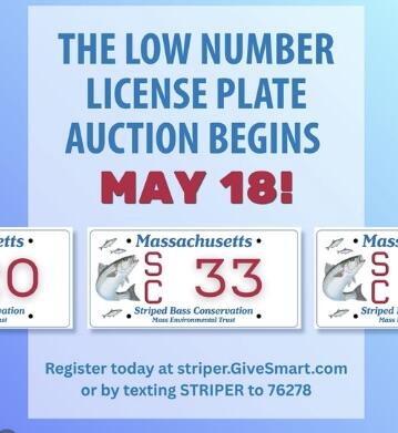 Low number auction flyer